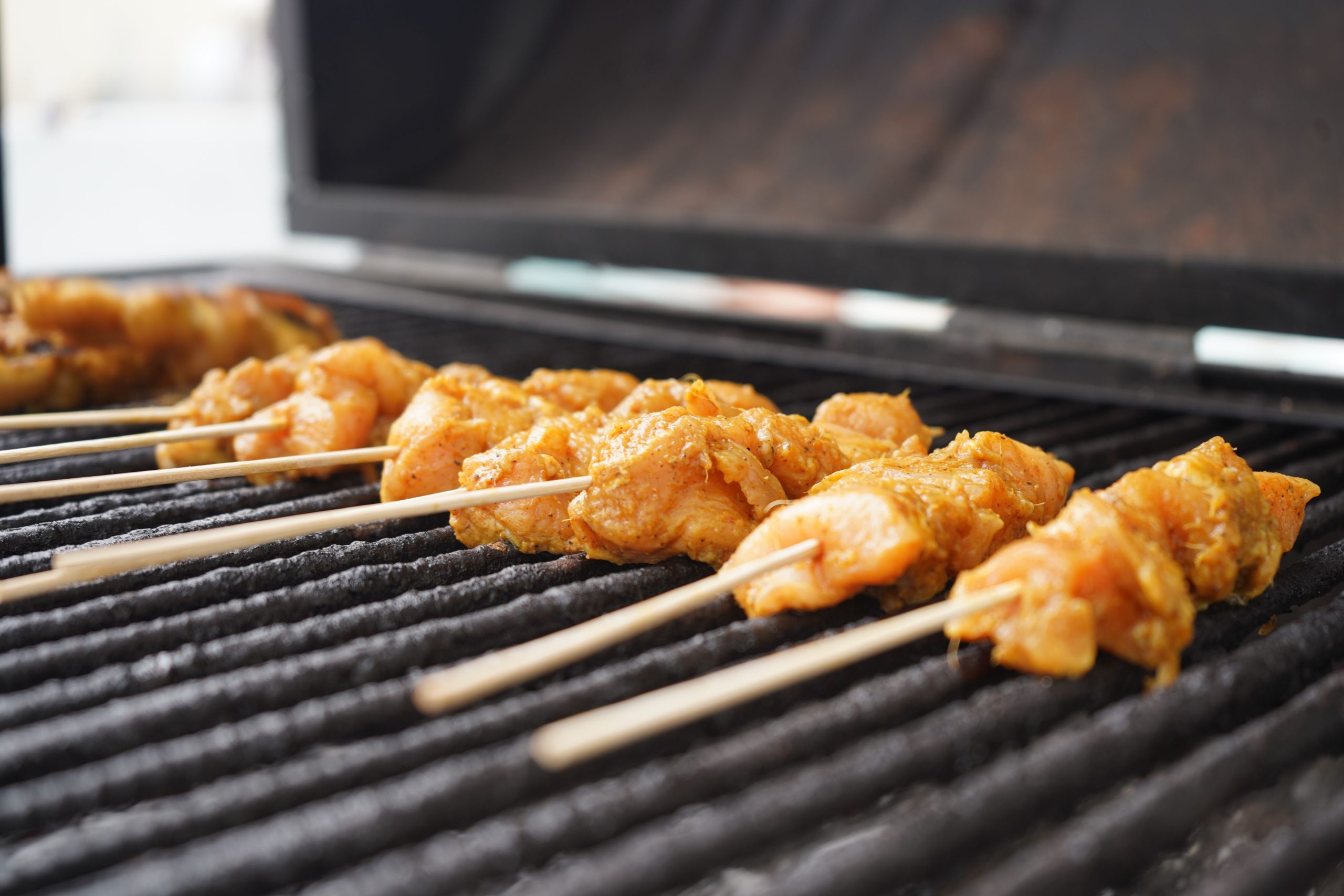 Marinated Chicken Skewer Single Portion