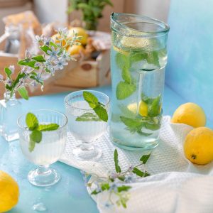 Sparkling Lemon Mint Drink Large